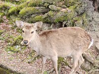 15-TJ-20250415_152512