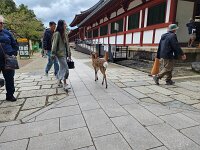 15-TJ-20250415_153537