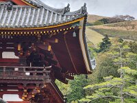 15-TJ-20250415_153844