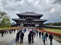 15-TJ-20250415_154529