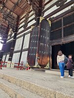 15-TJ-20250415_155119