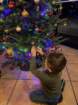 lusbyimg_2345_small.jpg