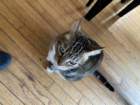 lusbyimg_2368_small.jpg