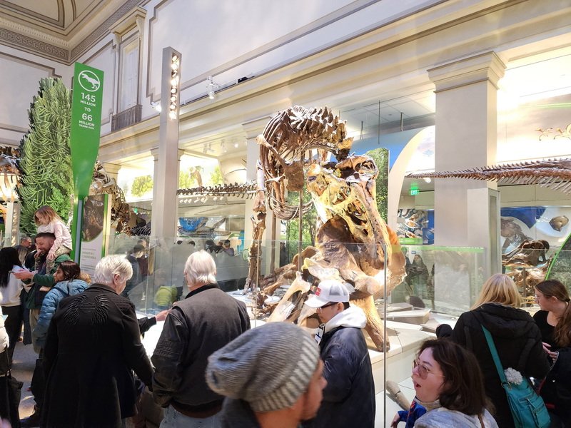 nathist20251228_142843.jpg