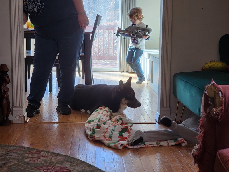 xmas20251224_110357.jpg
