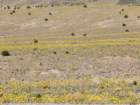dvlys20260218_121403_small.jpg