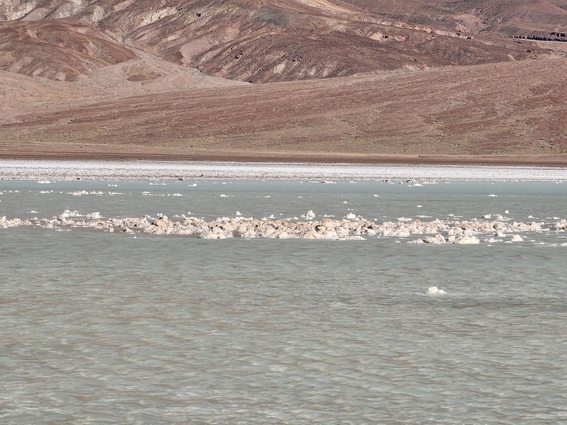 dvlys20260218_145016.jpg