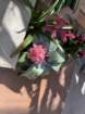 mothersdimg_5385_small.jpg