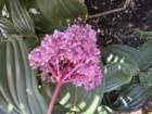 mothersdimg_5388_small.jpg