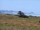 ftbragg20260518_123641_small.jpg