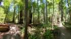 shelterc20260520_133314_small.jpg