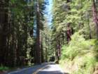 sheltercimg_0316_small.jpg