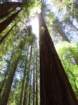 sheltercimg_0435_small.jpg