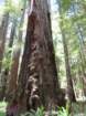 sheltercimg_0457_small.jpg