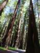 sheltercimg_0466_small.jpg