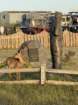 sheltercimg_5833_small.jpg
