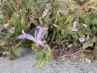sheltercimg_5911_small.jpg
