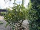 smdaimg_6751_small.jpg