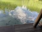 smdaimg_6757_small.jpg