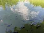 smdaimg_6758_small.jpg