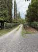 smdaimg_6776_small.jpg