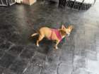 smdaimg_6813_small.jpg