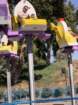 legimg_7472_small.jpg