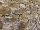 londonbimg_0575_small.jpg