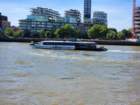 londonc20260808_112557_small.jpg