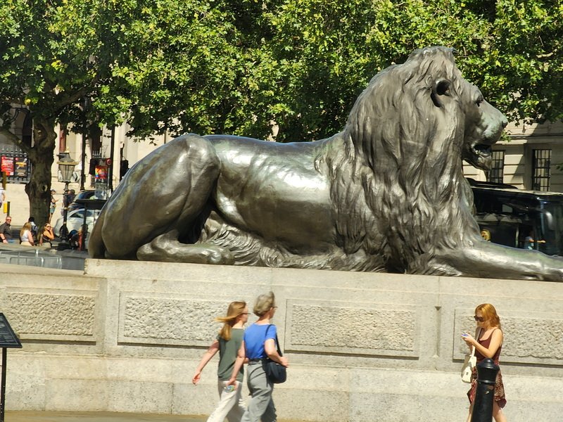 londonc20260808_135209.jpg
