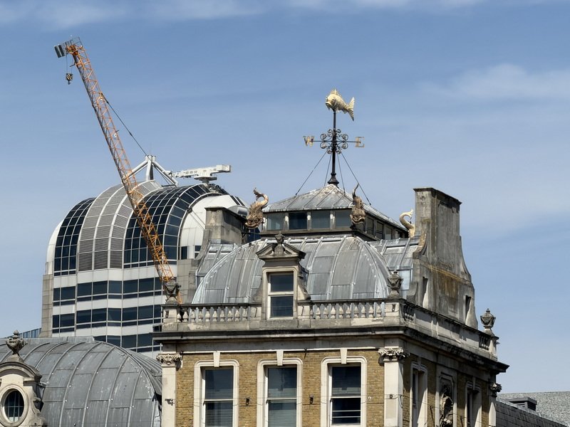 londoncimg_7892.jpg