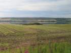 ukaimg_0722_small.jpg