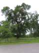 ukaimg_0733_small.jpg