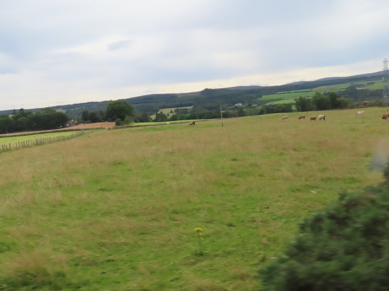 ukaimg_0740.jpg