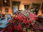 ukaimg_8226_small.jpg
