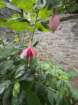 ukaimg_8265_small.jpg