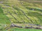 ukc20260813_125649_small.jpg