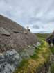 ukc20260813_130704_small.jpg