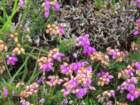 ukcimg_0829_small.jpg