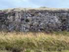 ukcimg_8402_small.jpg