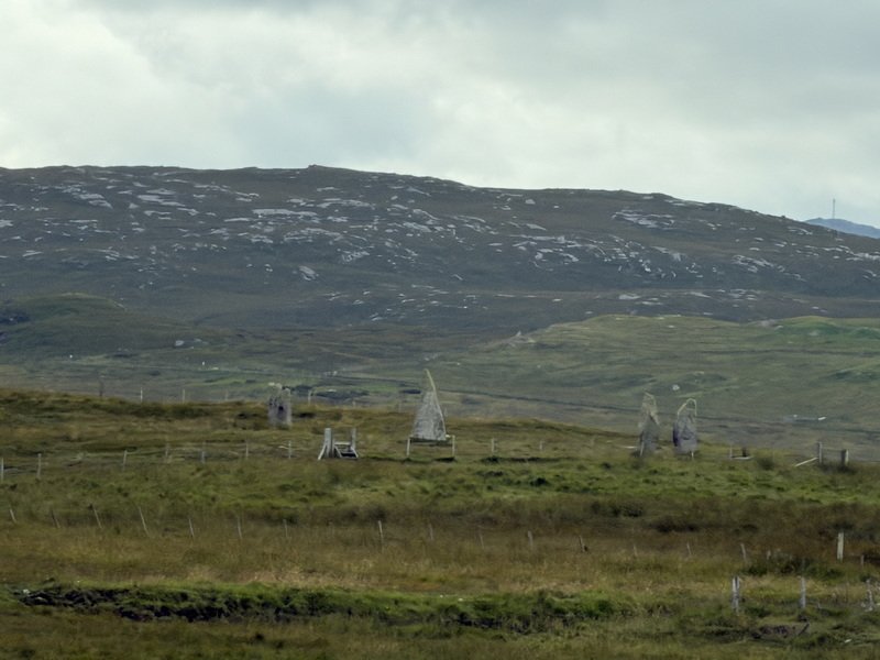 ukcimg_8461.jpg
