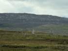 ukcimg_8461_small.jpg