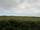 ukdimg_8503_small.jpg