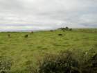 ukdimg_8594_small.jpg