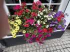 ukeimg_8915_small.jpg