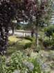 ukeimg_8923_small.jpg