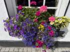 ukeimg_8924_small.jpg