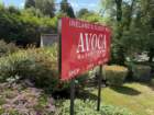 ukeimg_8927_small.jpg