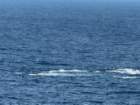 ukeimg_8974_small.jpg