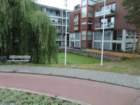 euaimg_0884_small.jpg